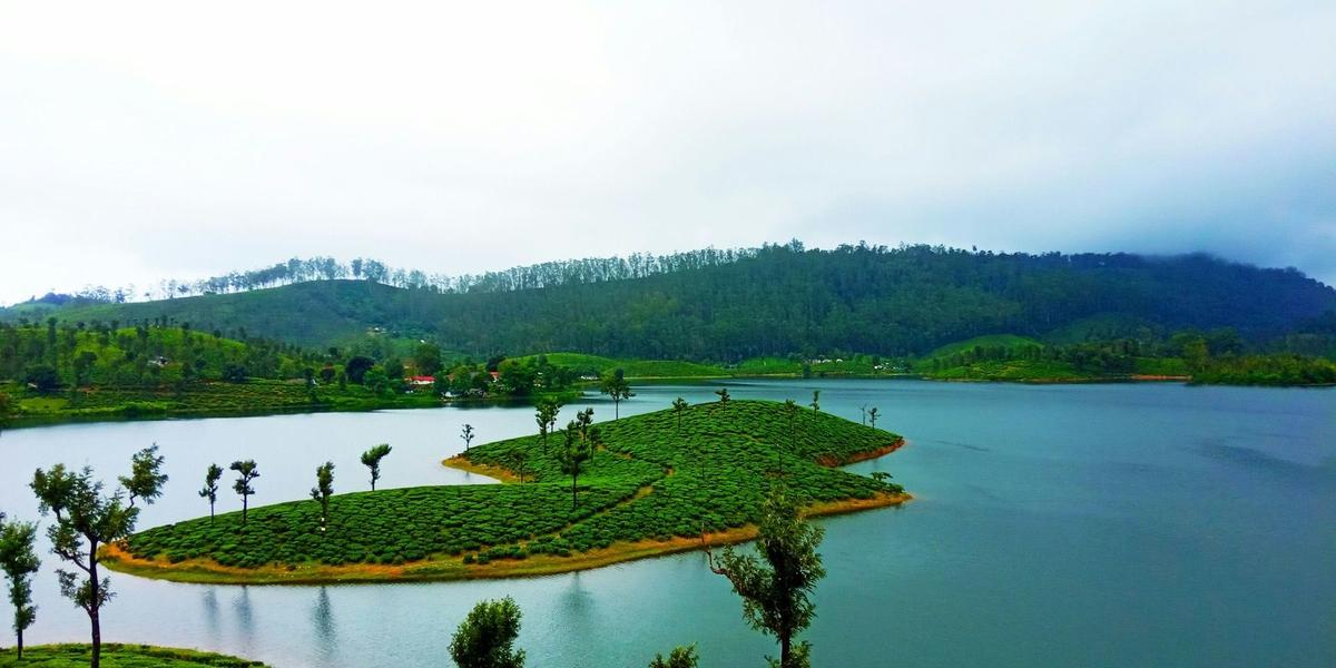 Valparai 40-Bends