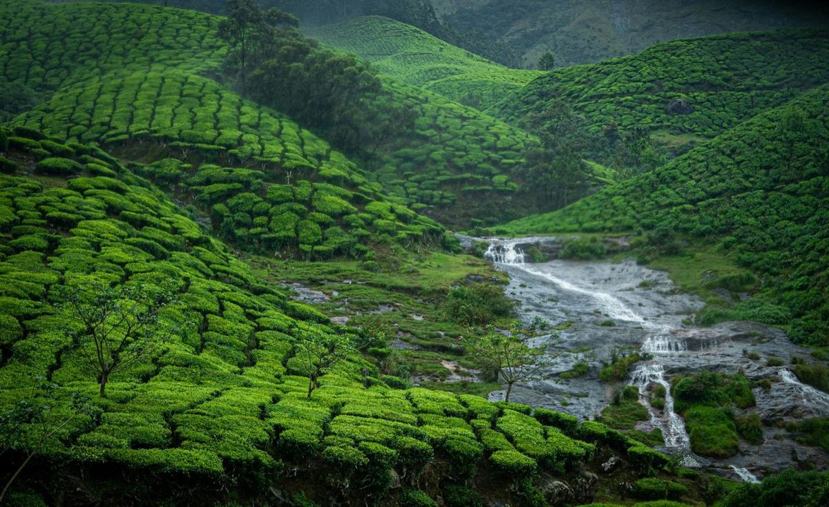 South India Grand Tour